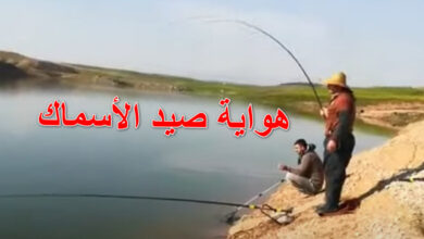 هواية صيد الأسماك في مصر