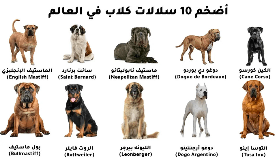  10 